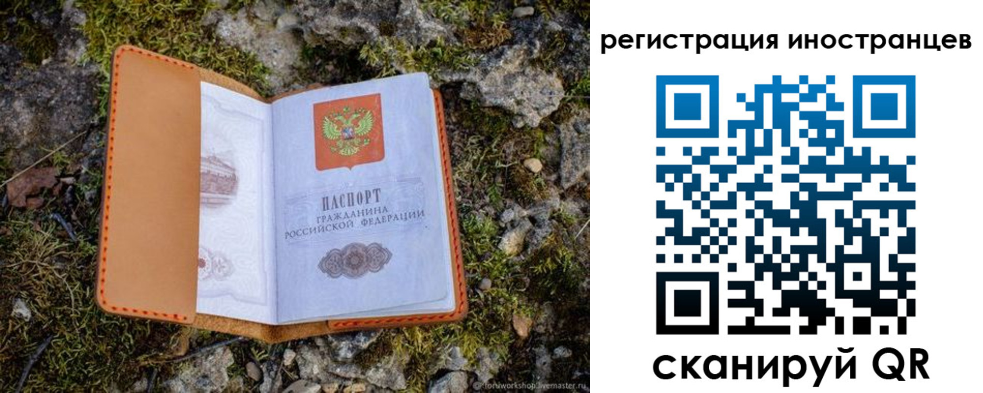 прописка паспорт в Сарапуле